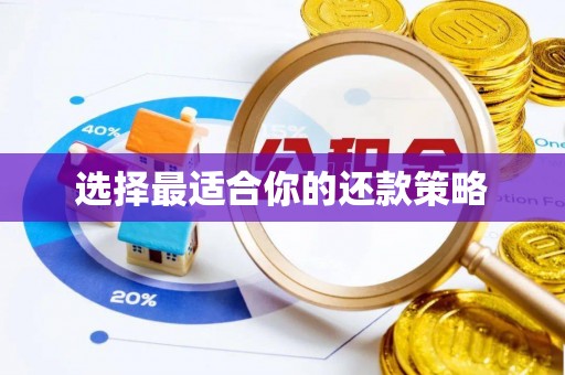 银川选择最适合你的还款策略